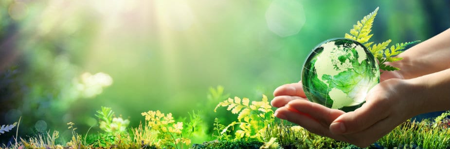 plantas e luz representando o desenvolvimento sustentável