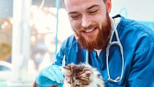 quanto ganha um veterinário