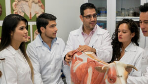 medicina veterinária nota de corte