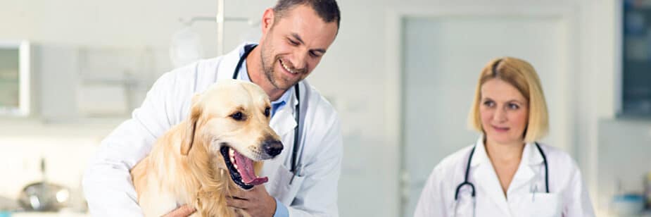 Anhanguera Medicina Veterinária