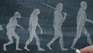 Evolução dos hominídeos