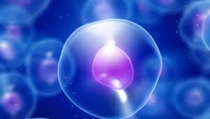 respiração celular