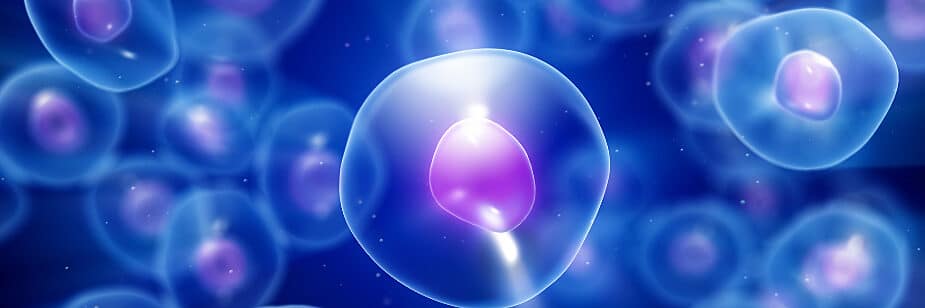 respiração celular