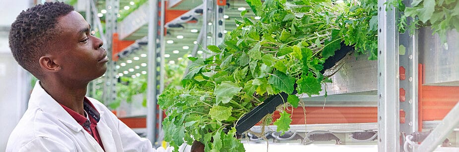 Agronegócio Anhanguera