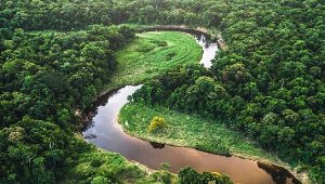Ecologia no Enem