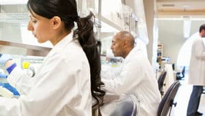 Grade curricular de Farmácia