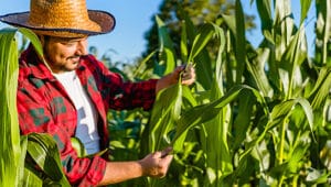 Agronomia o que faz