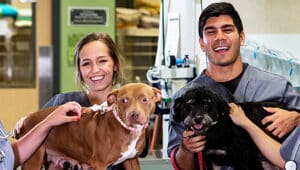 Melhores faculdades de Medicina Veterinária