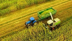 Faculdade de Agronomia valor