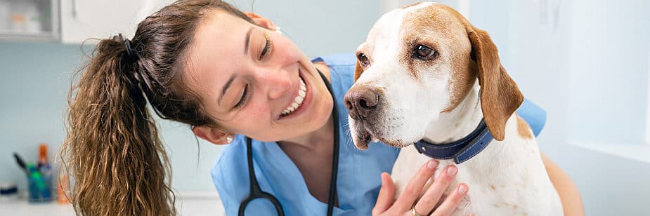 Faculdade de Medicina Veterinária