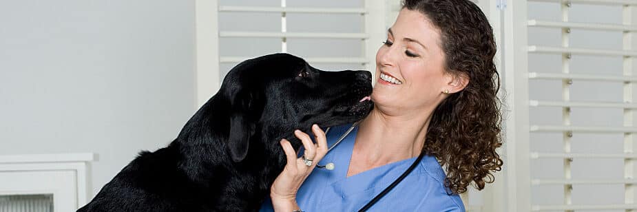 Medicina Veterinária na Anhanguera