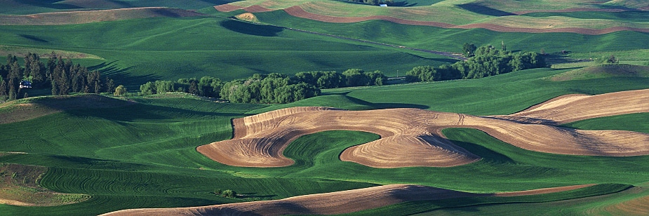 topografia