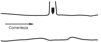 grandeza física vetorial