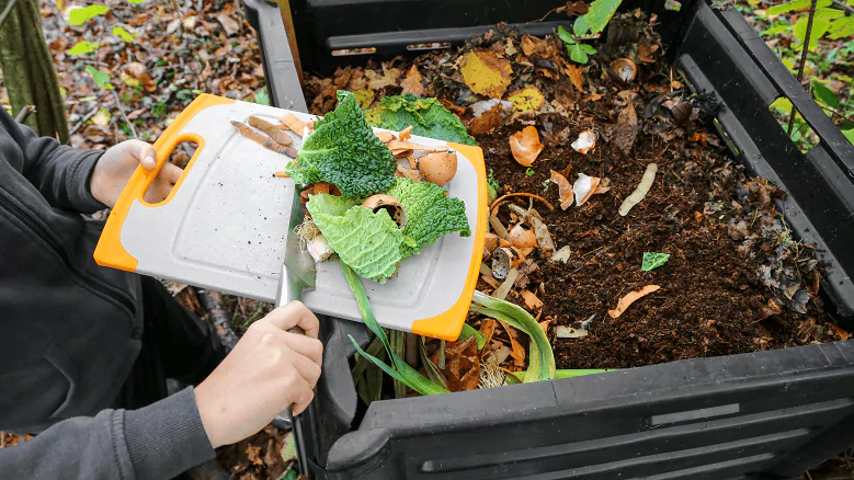 pessoa despejando verduras em engradado de terra