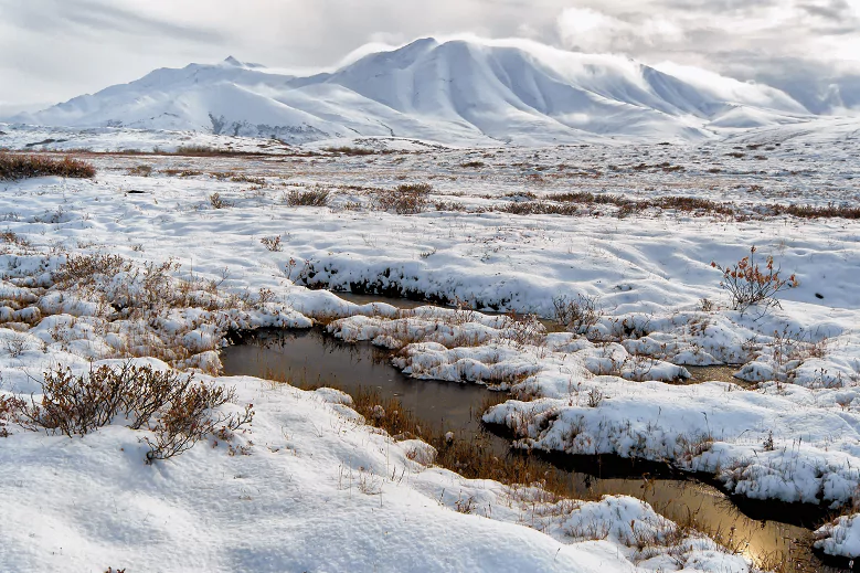 Tundra com montanhas cobertas de neve ao fundo